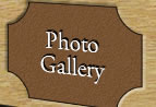 Photo Gallery
